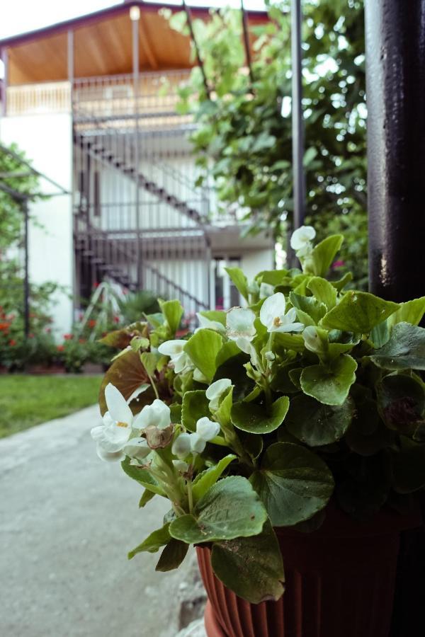Гостевой Дом Летний Сад Sukhumi Exterior foto